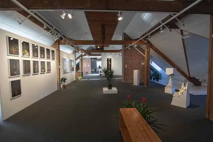 Plantes, Botanique, Nature, Vanité, Technologie, Art Contemporain