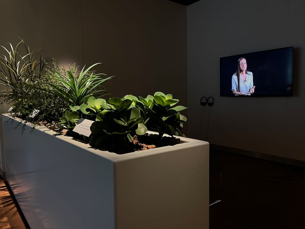 Catherine Lescarbeau, botanique, plantes ornementales, banlieue, centre d'achat, critique institutionnelle