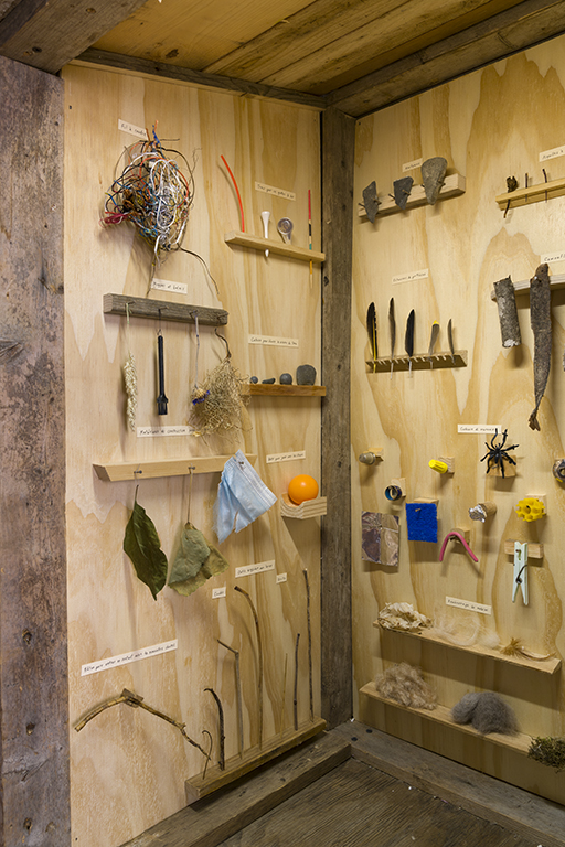 Richard Ibghy, Marilou Lemmens, library, tool shed, tools, animal mimicry, culture, nature