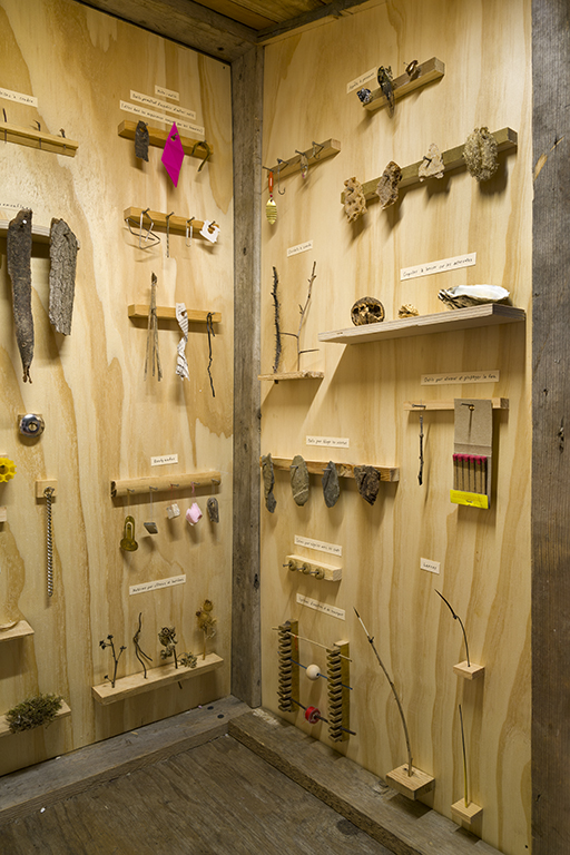 Richard Ibghy, Marilou Lemmens, library, tool shed, tools, animal mimicry, culture, nature