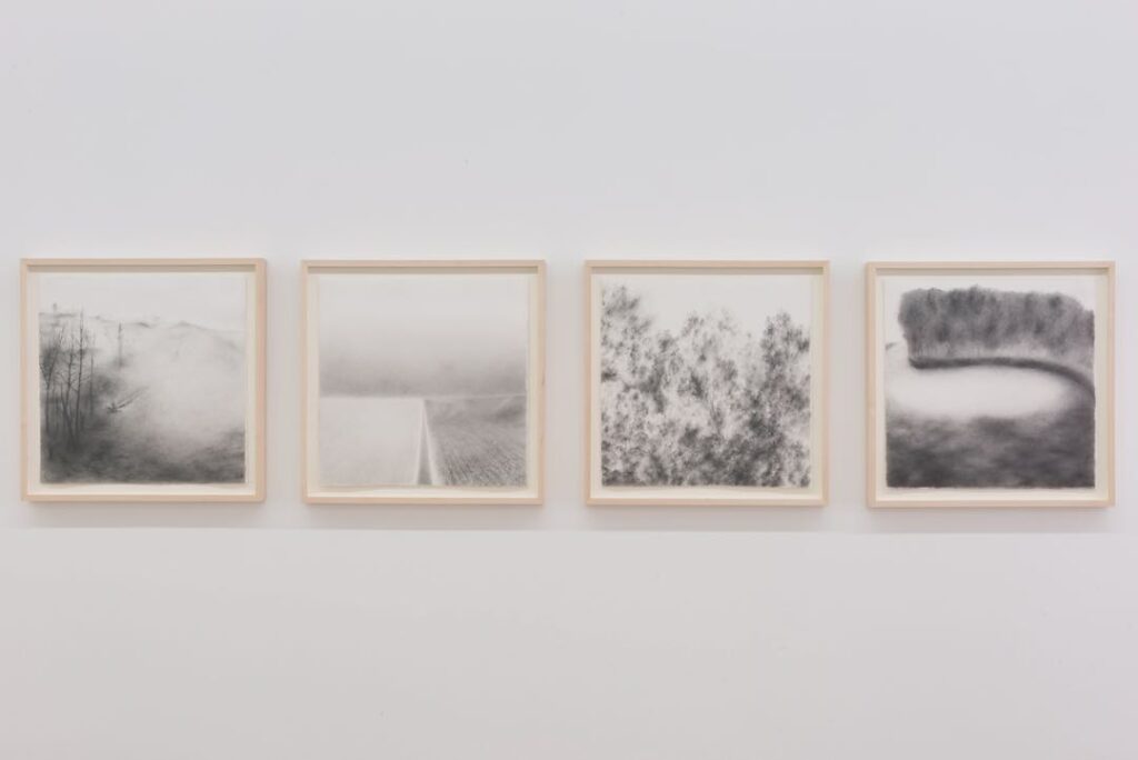 Andréanne Godin, Territory, Landscape, Forest, Remembrance